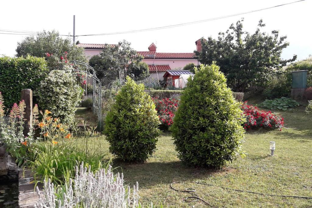 Apartma Oljka Pomjan Šmarje المظهر الخارجي الصورة